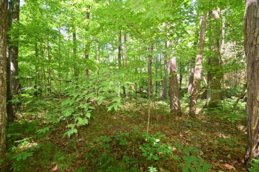 5480 County Road A, Webster, WI 54893