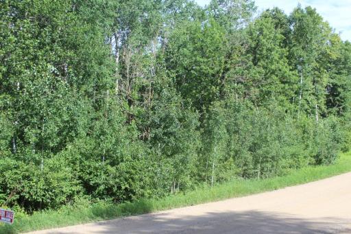 TBD Wilderness Bay Road, Park Rapids, MN 56470