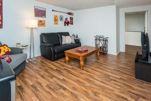 Lower level family room with wood-style flooring