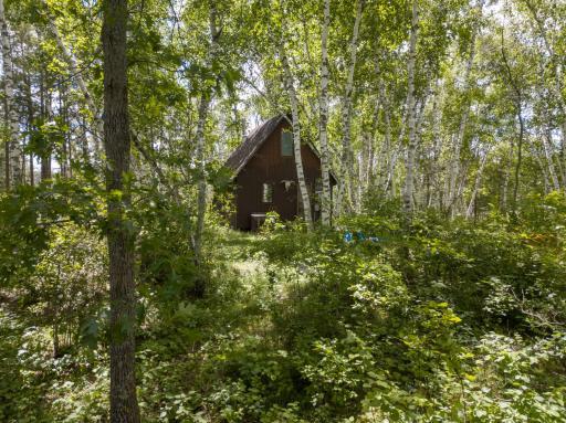 22510 Spider Island, Nevis, MN 56467