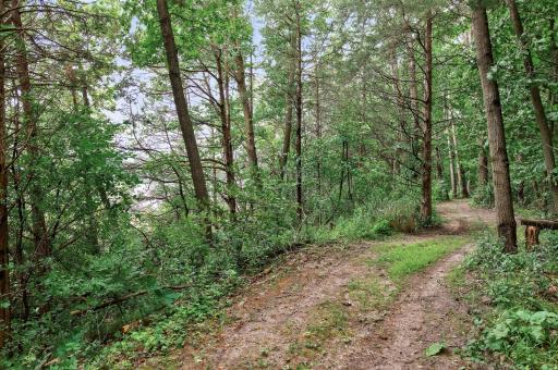 28732 Olympic Trail, Lindstrom, MN 55045