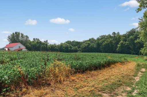 28732 Olympic Trail, Lindstrom, MN 55045