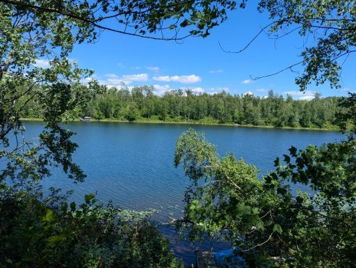 34270 Moose Trail, Lake George, MN 56458