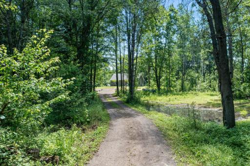 Driveway to cottage