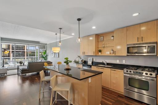 45 University Avenue SE, 314, Minneapolis, MN 55414