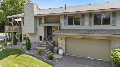 4225 Goldenrod Lane N, Minneapolis, MN 55441