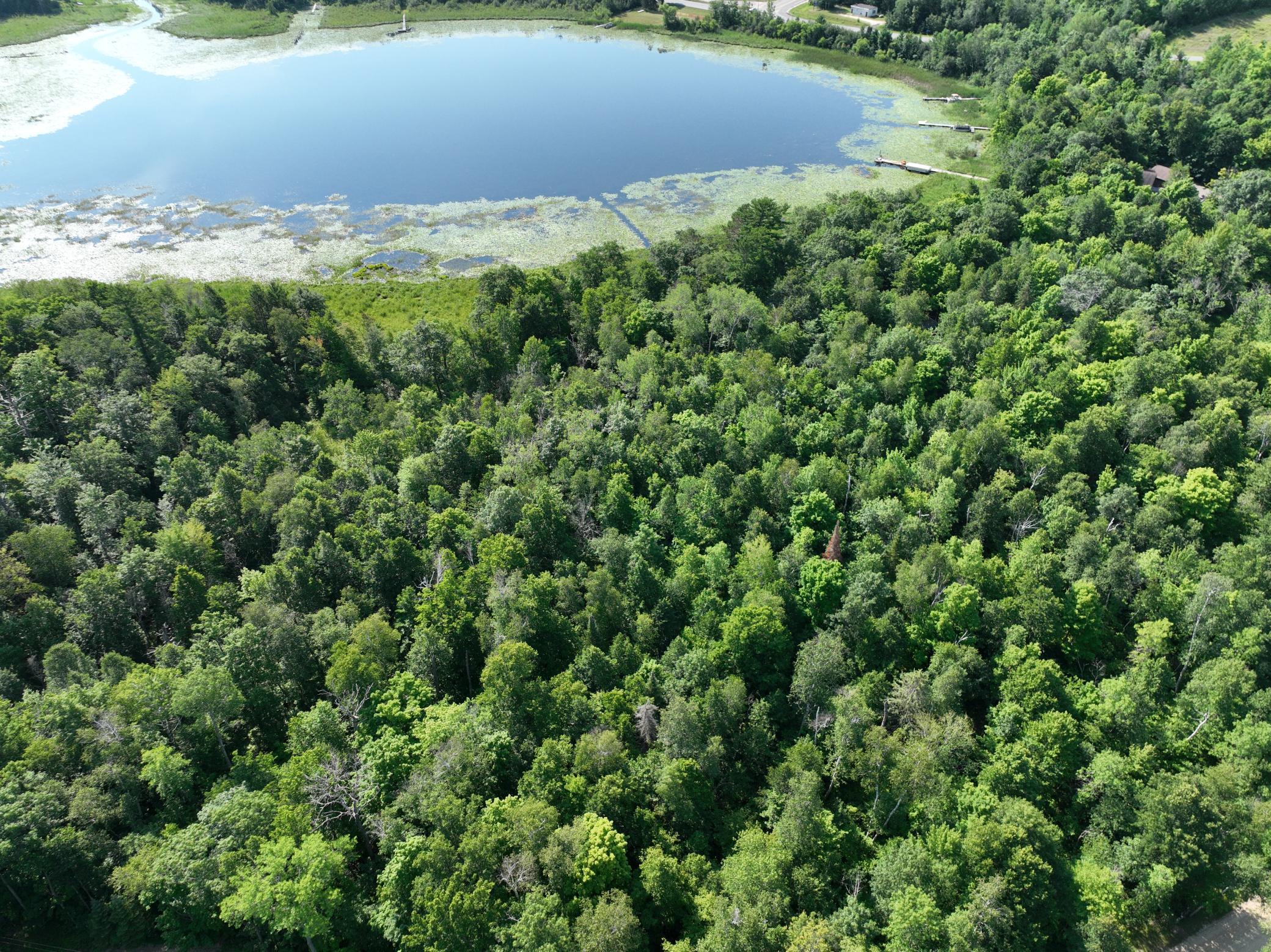 Property photo for TBD Hillerman Road NW, Hackensack, MN 56452