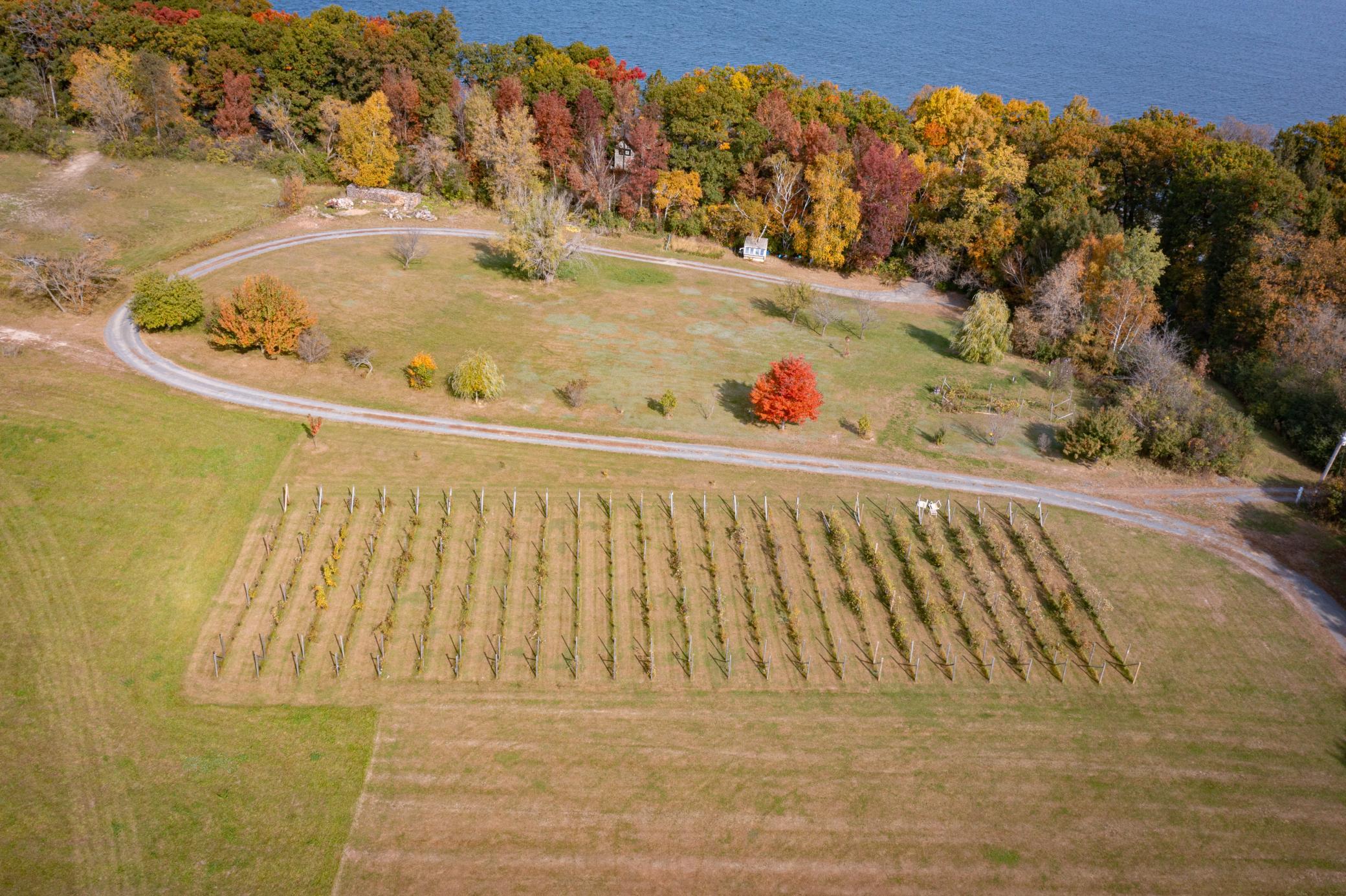 DJI_0729.jpg