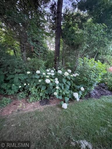 5789 Cherry Lane, Cannon Falls, MN 55009