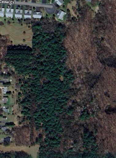TBD Folsom Street, Shafer, MN 55074