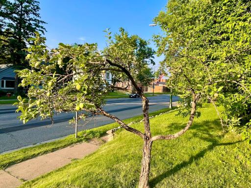 415 2nd Street NW, Aitkin, MN 56431