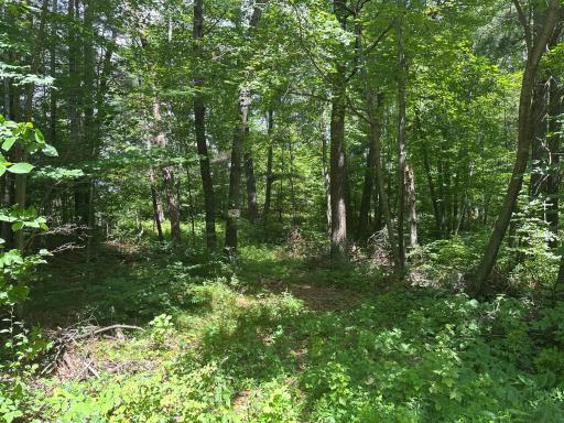 33073 Aspen Lane, Motley, MN 56466