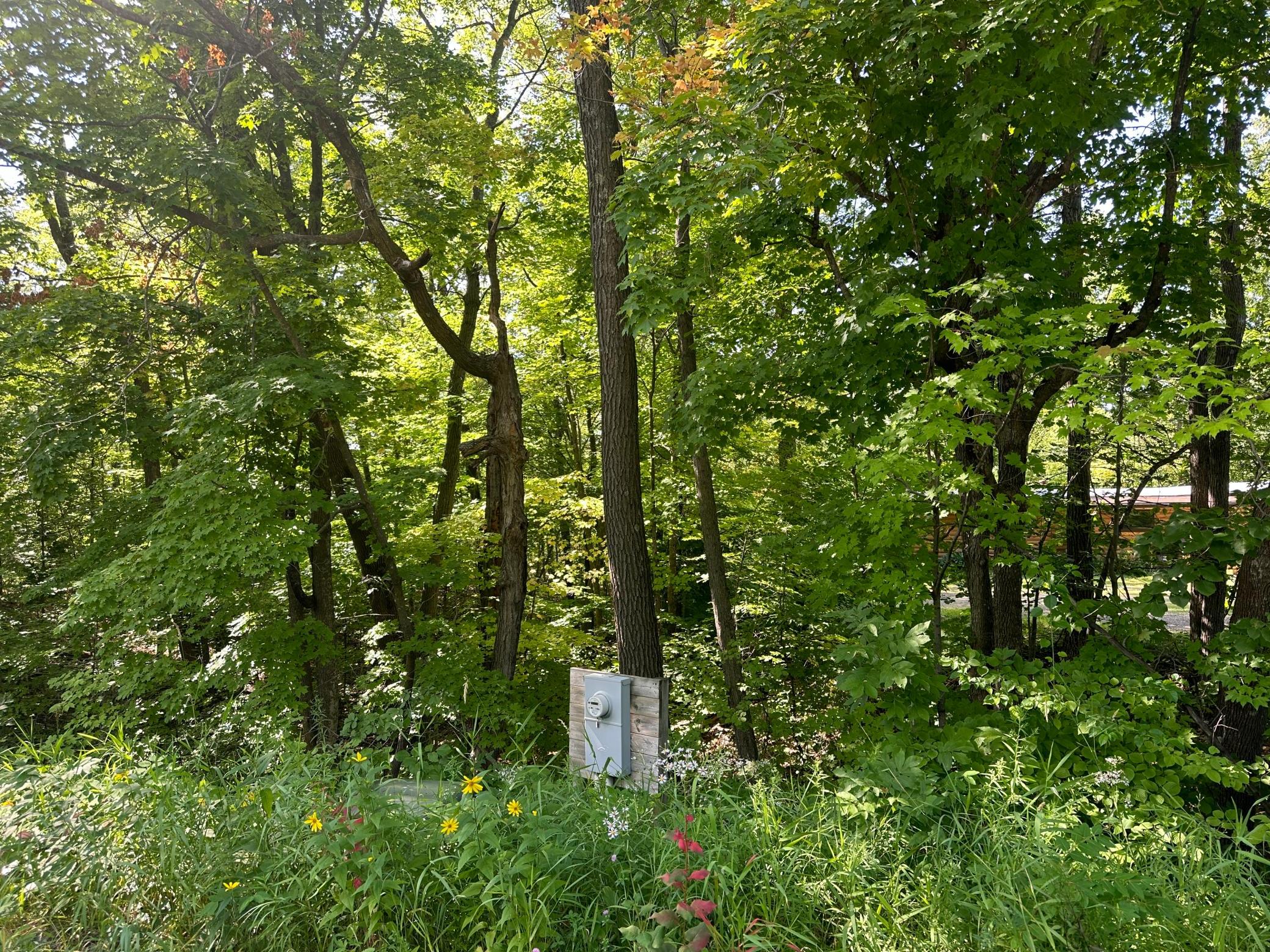 neighboring home in the background