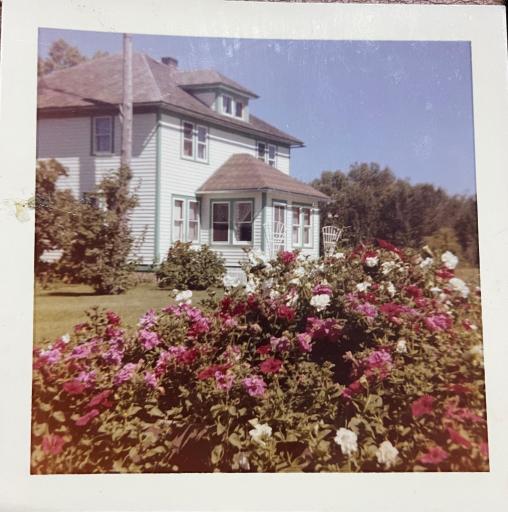 What the house looked like in the past