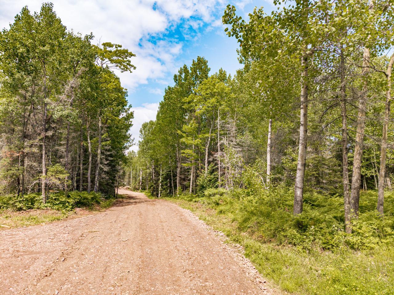 Stanley_Road_017.jpg
