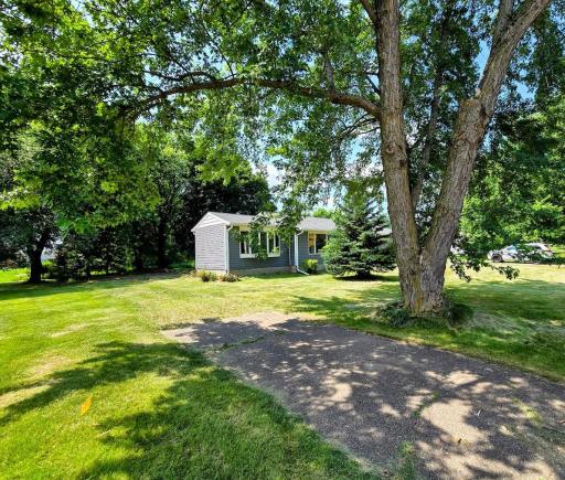Front yard- the extra parking pad