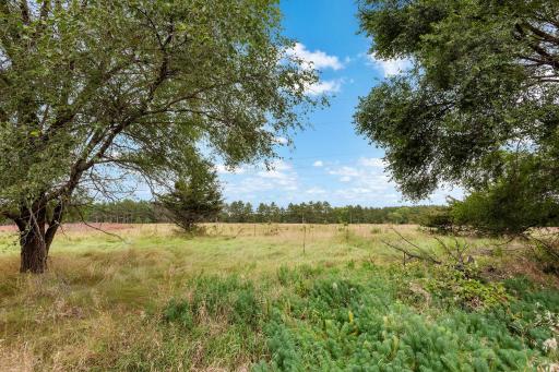 1805 W River Street, Monticello, MN 55362