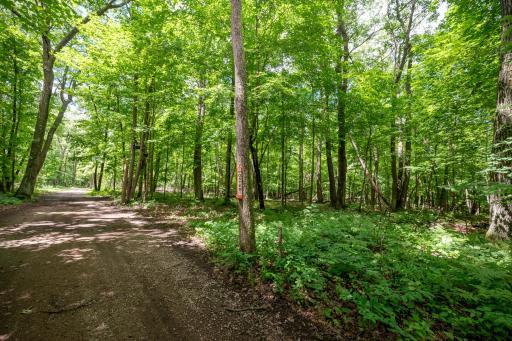 TBD Guilford Road, Deerwood, MN 56444