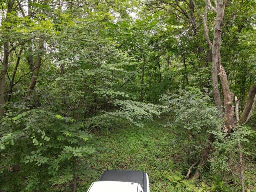 Maxwill Ave N Scandia MN 55047 USA-003-009-003-MLS_Size.jpg