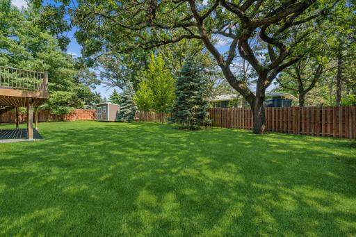 Plenty of green space to play!
