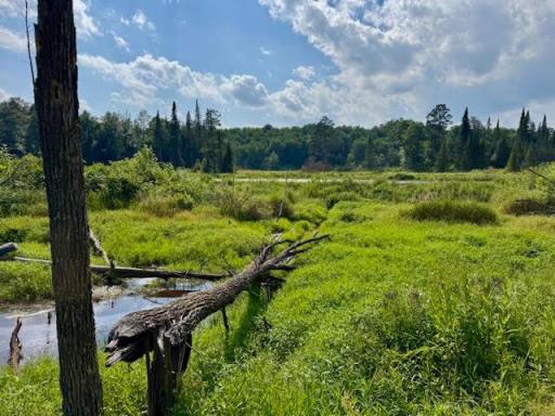 247 Pine Mountain Lake Road NW, Backus, MN 56435