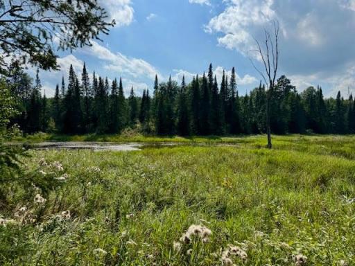 247 Pine Mountain Lake Road NW, Backus, MN 56435