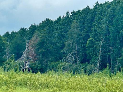 TBD 20th St. SW 20 St. SW, Pine River, MN 56474