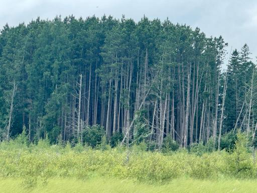 TBD 20th St. SW 20 St. SW, Pine River, MN 56474