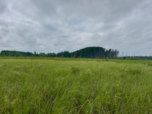 TBD 20th St. SW 20 St. SW, Pine River, MN 56474