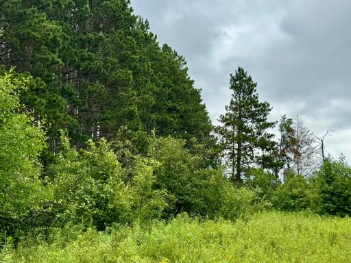 TBD 20th St. SW 20 St. SW, Pine River, MN 56474