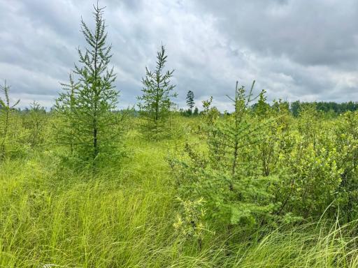 TBD 20th St. SW 20 St. SW, Pine River, MN 56474