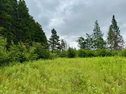 TBD 20th St. SW 20 St. SW, Pine River, MN 56474