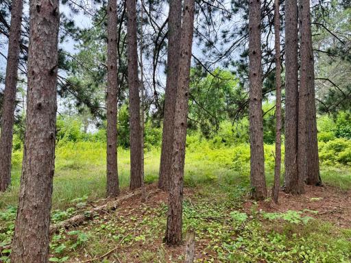 TBD 20th St. SW 20 St. SW, Pine River, MN 56474