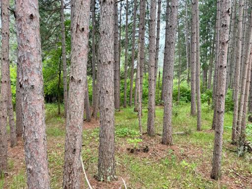 TBD 20th St. SW 20 St. SW, Pine River, MN 56474