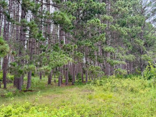 TBD 20th St. SW 20 St. SW, Pine River, MN 56474