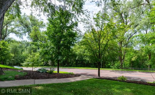 Soothing view across the front yard toward the Creek.