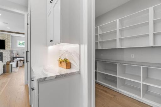 Another view of large walk-in pantry with counters and outlets
