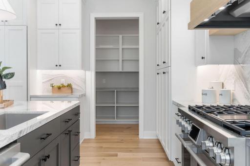 View of walk-in pantry