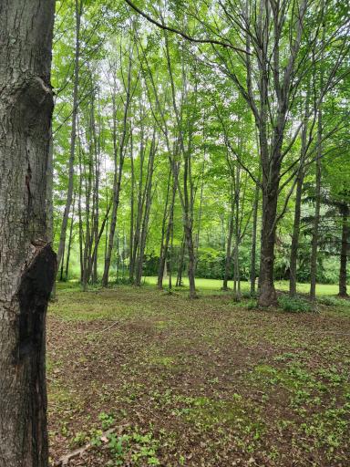 Null 1st Ave NW, Pine City, MN 55063