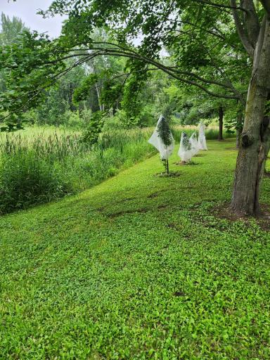 Null 1st Ave NW, Pine City, MN 55063