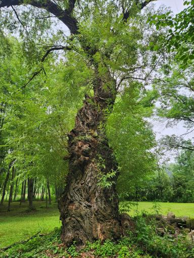 Null 1st Ave NW, Pine City, MN 55063