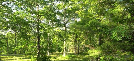 83xxx - Lot 6 Ashwabay Heights Road, Bayfield, WI 54814