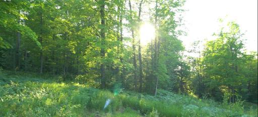 83xxx - Lot 7 Ashwabay Road, Bayfield, WI 54814