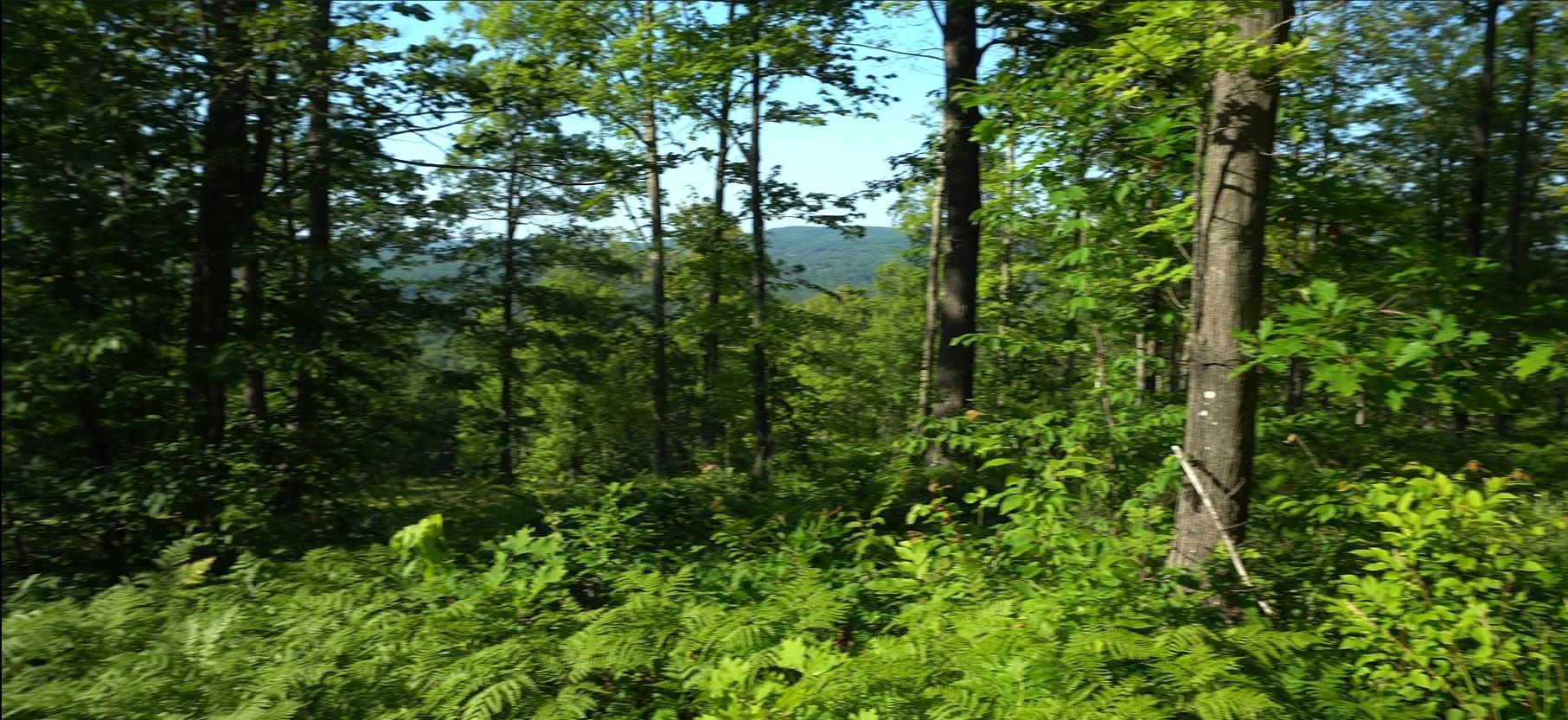 Photo 3.jpg