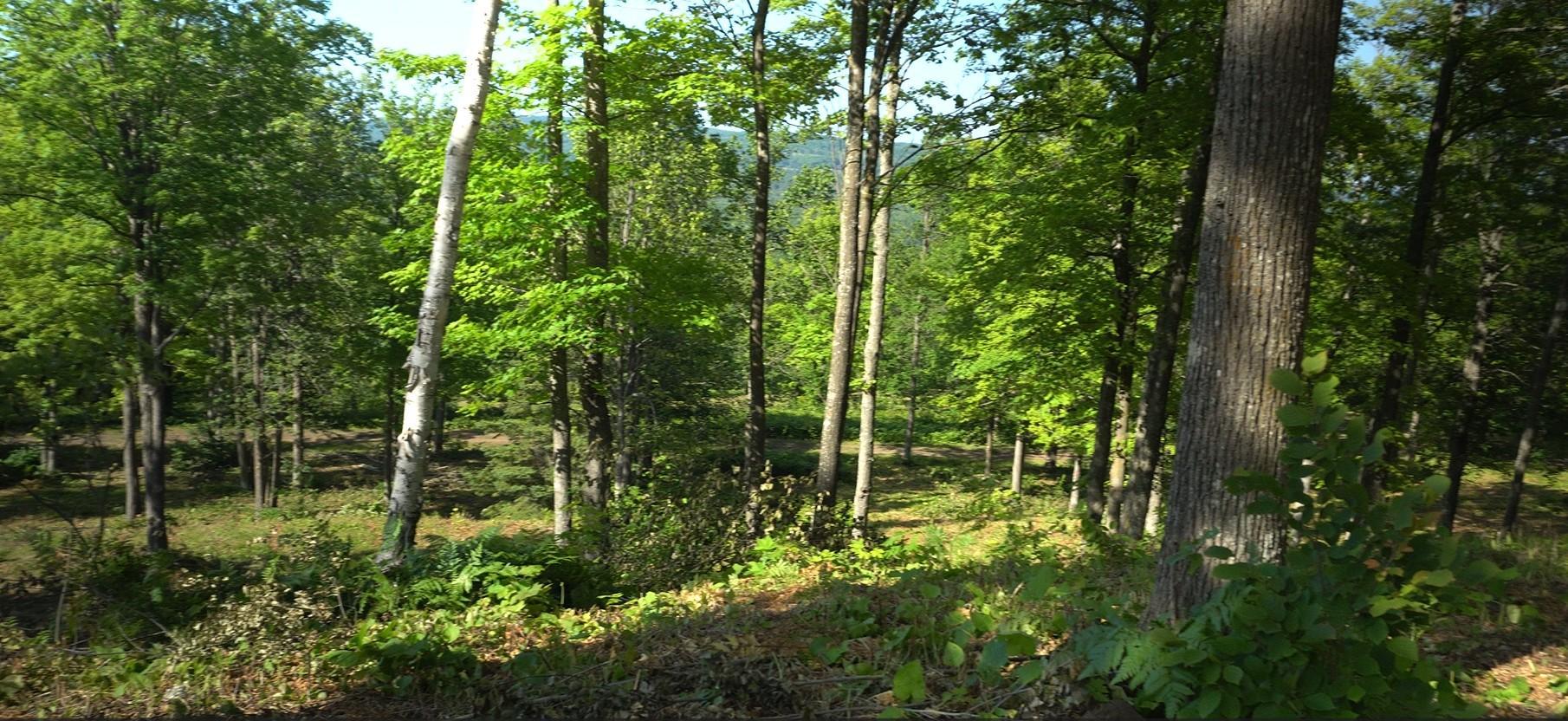 Photo 6.jpg