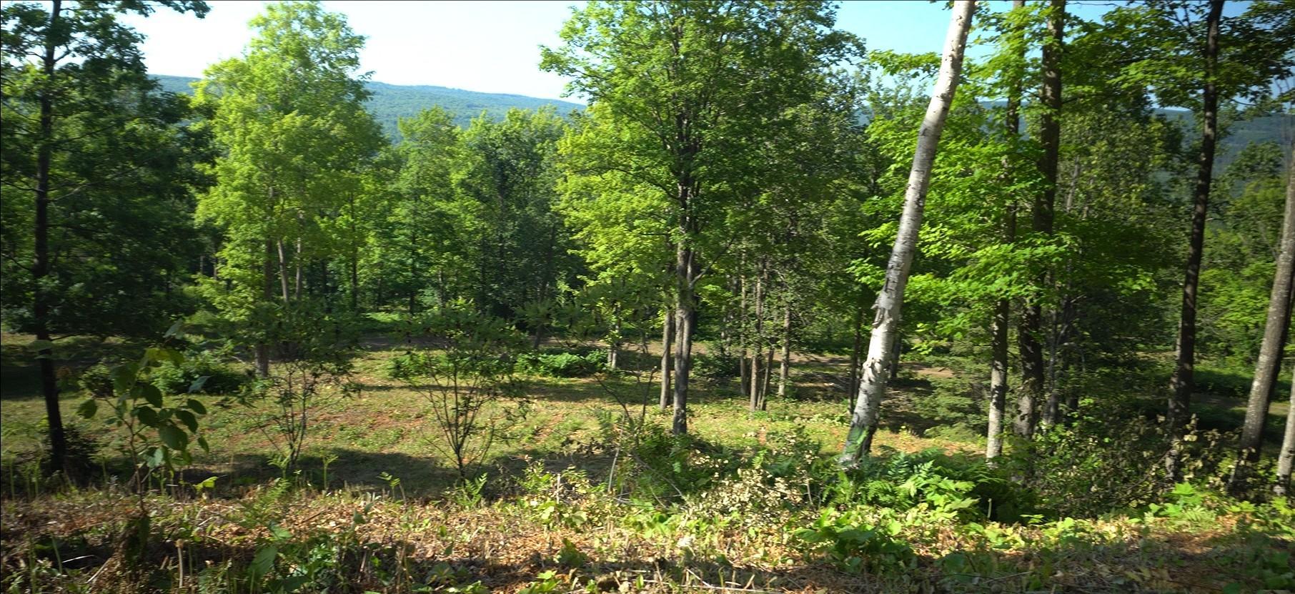 Photo 5.jpg