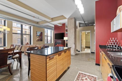 350 Saint Peter Street, 802, Saint Paul, MN 55102