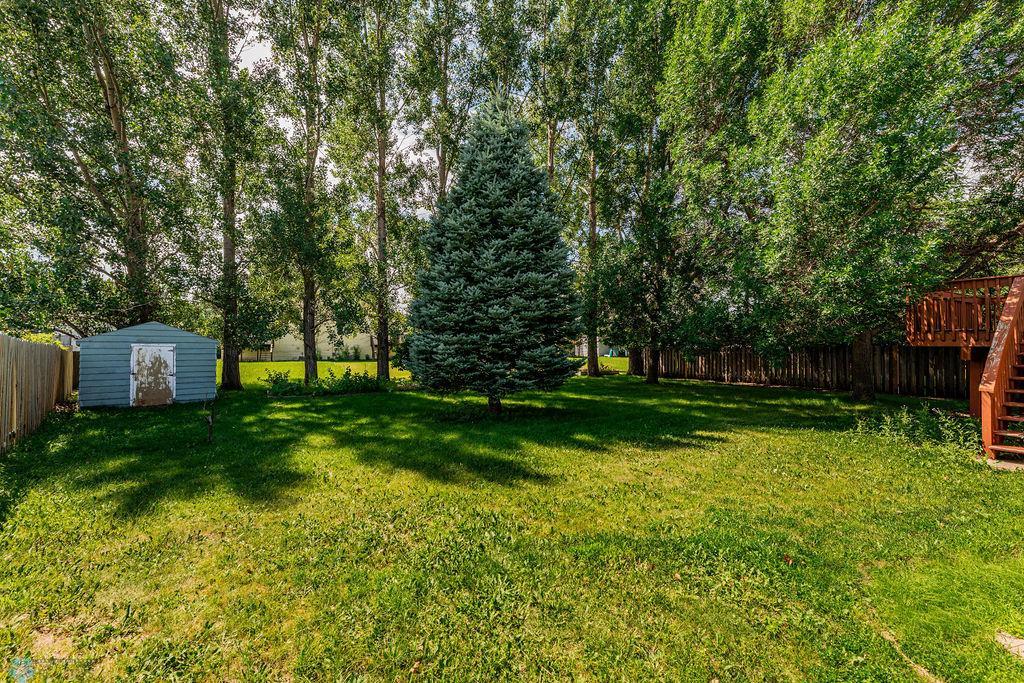 Fully treed yard