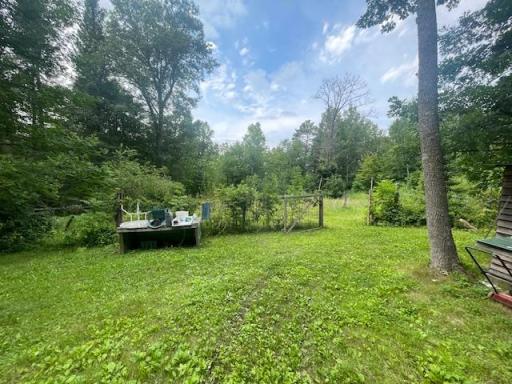 10799 Black Bear Road, Brainerd, MN 56401