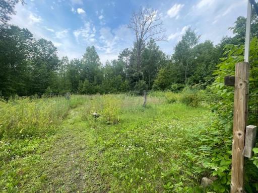 10799 Black Bear Road, Brainerd, MN 56401